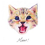 Spinning Cat