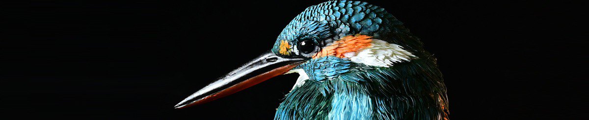 设计师品牌 - StargazerWork