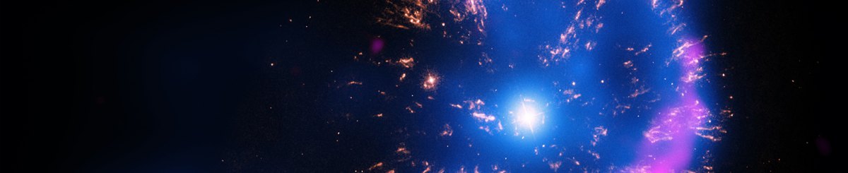 设计师品牌 - Summer Nova