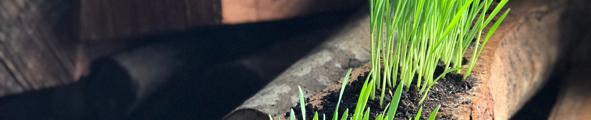 山鼎人柴烧手工麦芽