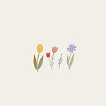 晨花日日sunnday flower