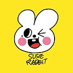 设计师品牌 - SUSIE RABBIT