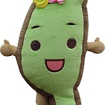 台湾达官方周边商品SHOP