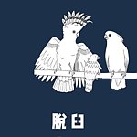 脱臼