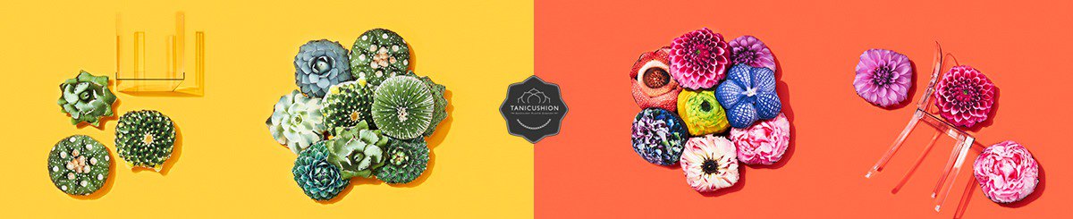 设计师品牌 - Tanicushion
