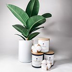 设计师品牌 - The BLOMSTRE