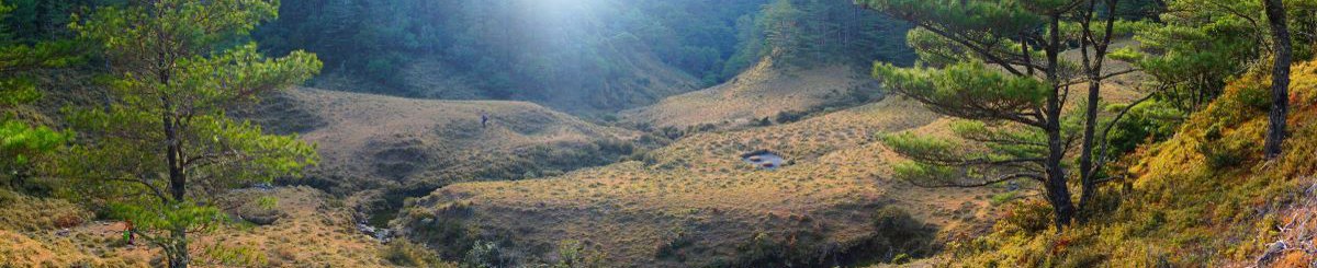 设计师品牌 - The GREAT HUNGER