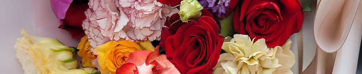 莳花Time Flower