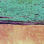 设计师品牌 - 轨室