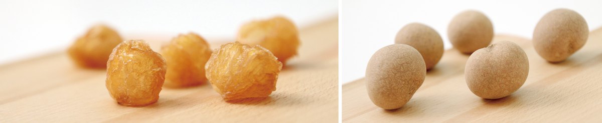 设计师品牌 - 亭子桂圆 TingZi