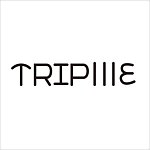 设计师品牌 - TRIPlllE 寵木傢俱