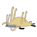 设计师品牌 - tsaili