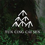 设计师品牌 - 屯青采森