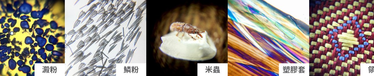 uHandy 行动显微镜