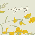 设计师品牌 - spring工作室
