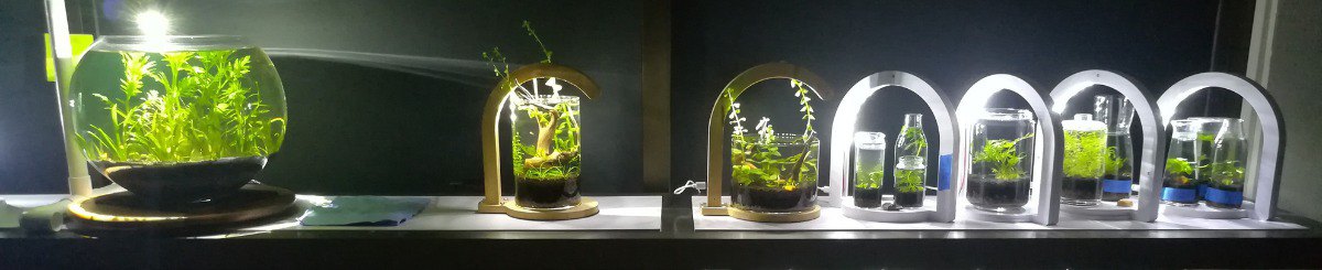 设计师品牌 - Urban Aqua Forest