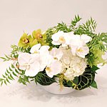 花草行走