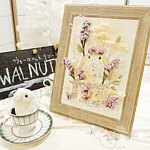 设计师品牌 - walnutland