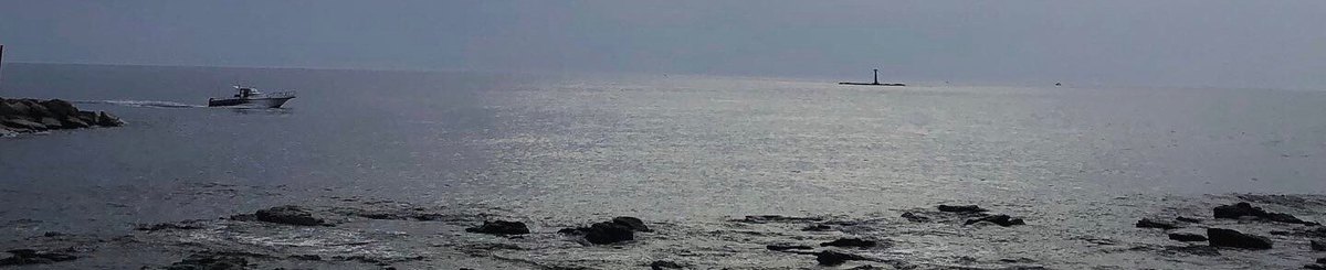 岛屿情结