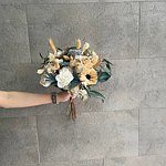 暖暖花开