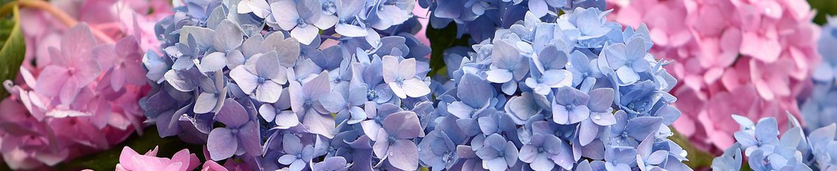 设计师品牌 - WASAIKOU