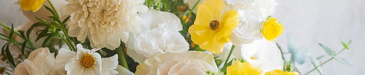 store image banner