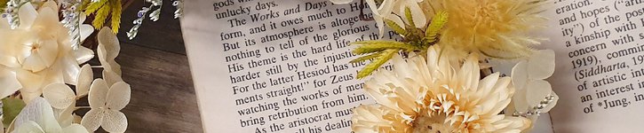 store image banner