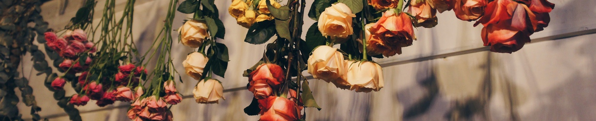 设计师品牌 - 西面森林 Westface Forest