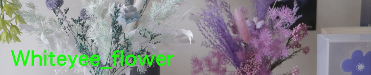 怀特与他的花宝贝