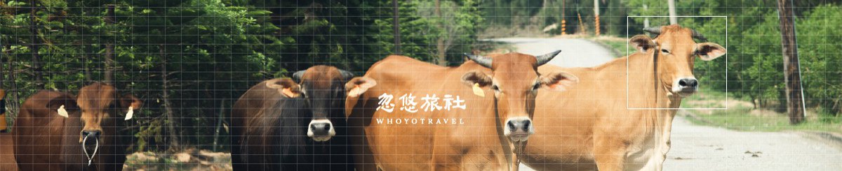 设计师品牌 - 忽悠旅社