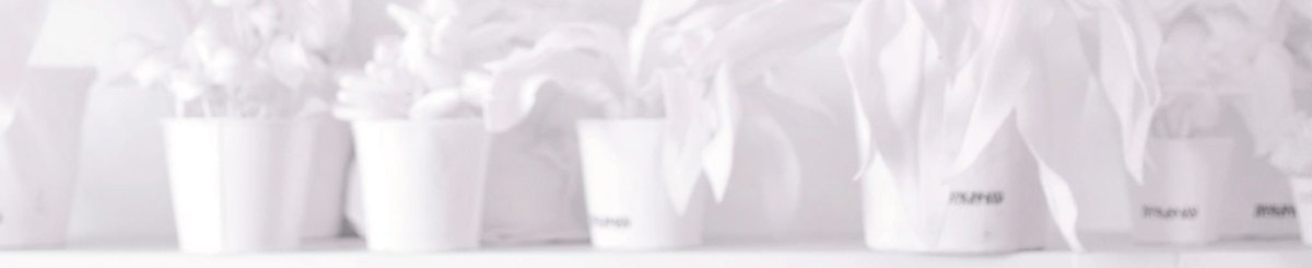 Wow Bravo & Funky Rap