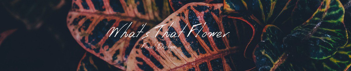 设计师品牌 - WTF FLORAL DESIGN