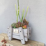 设计师品牌 - 无敌狗的幸福铺