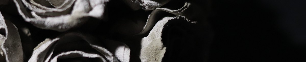 设计师品牌 - 回轮