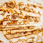 设计师品牌 - WZ bag/life/art