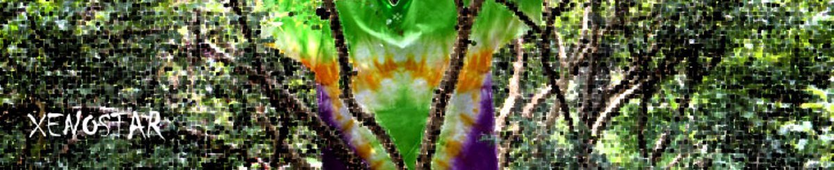 设计师品牌 - XENOSTAR