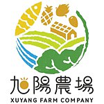 旭阳农场 优果香 水果干