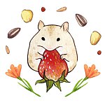 设计师品牌 - 杨大仙