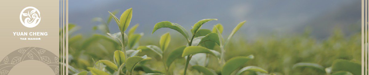 源成茶庄