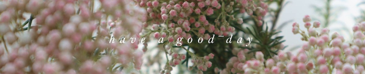 设计师品牌 - yo  ̄i