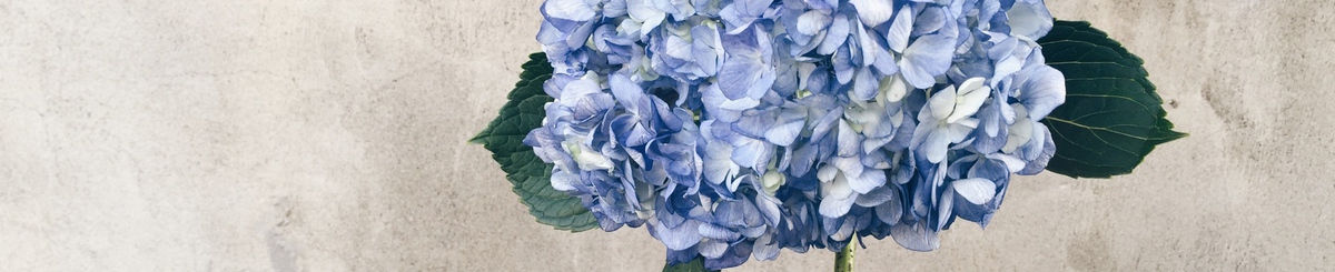 设计师品牌 - YOLO Lab