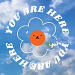 you are here