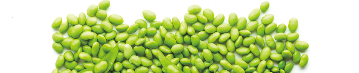 设计师品牌 - YoungSun