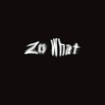 设计师品牌 - zo what