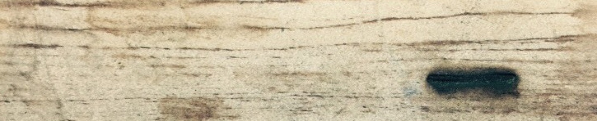 设计师品牌 - Z.P.T.