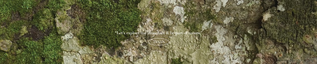 设计师品牌 - zzzayan