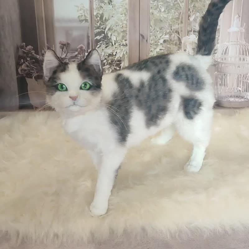 真实尺寸的逼真猫人造毛绒动物作者的室内娃娃 OOAK - 玩偶/公仔 - 其他材质 白色