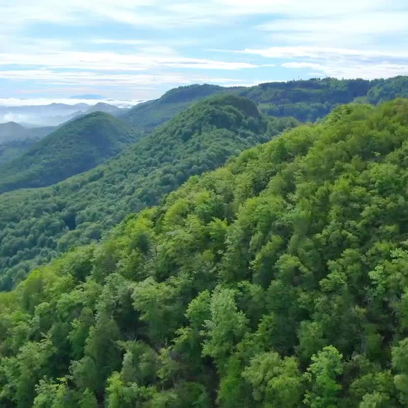 【快速出货】KA003 轻井泽 日曜卡其(仅男版) 户外多口袋机能裤 - 男士长裤 - 其他材质 卡其色