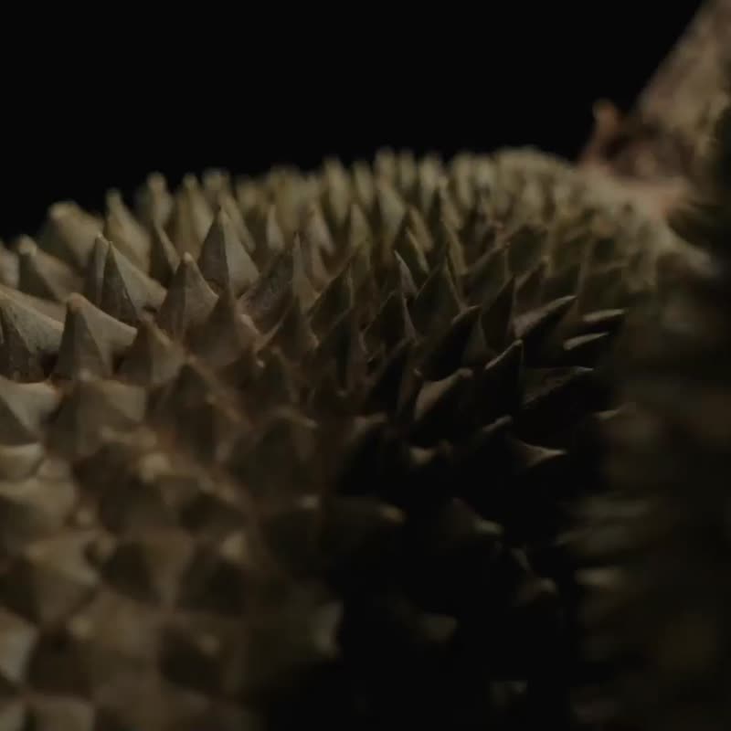 9月10日前(中秋礼盒) 现货帝一榴金装猫山皇榴槤冰皮月饼礼盒8粒 - 蛋糕/甜点 - 其他材质 多色