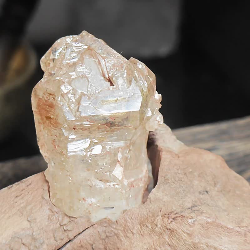 风化木黄泥骸骨|水晶|摆设 - 摆饰 - 水晶 